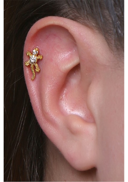 Kertenkele Gold Piercing fiyatları