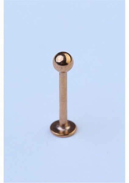 Düz Labret Rose Gold Piercing fiyatları