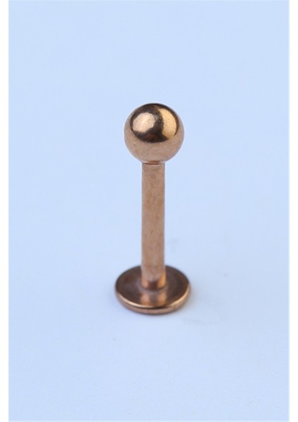 Düz Labret Rose Gold Piercing fiyatları