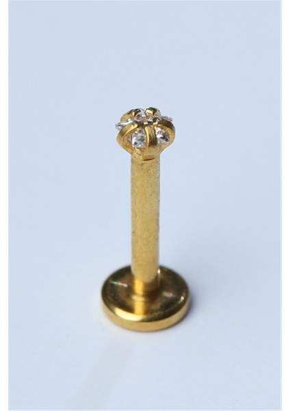Yıldız Taş Labret Mini Boy Gold Piercing fiyatları