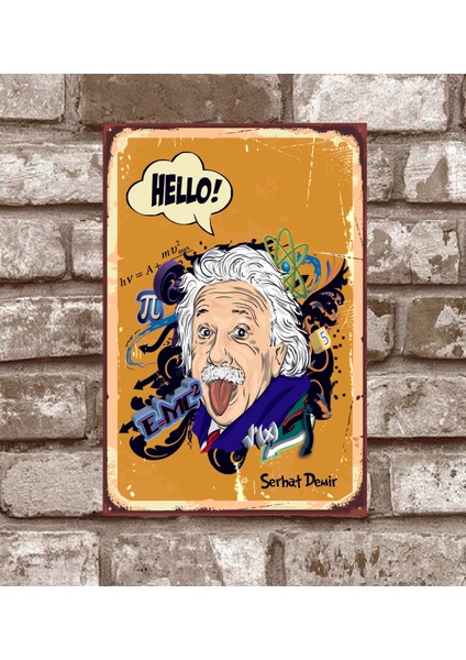 Retro253 Kişiye Özel Einstein Retro Vintage Metal Poster