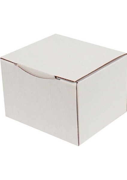 Beyaz Kilitli Kargo Kutusu / Ebat: 12,5X10,5X8 cm (100 Adet)