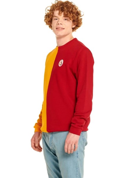 Galatasaray Lisanslı Erkek Sarı Kırmızı Sweatshirt modelleri