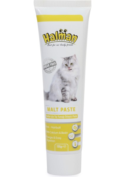 Malt Paste Kedi Tüy Yumağı Önleyici Macun 100 GR