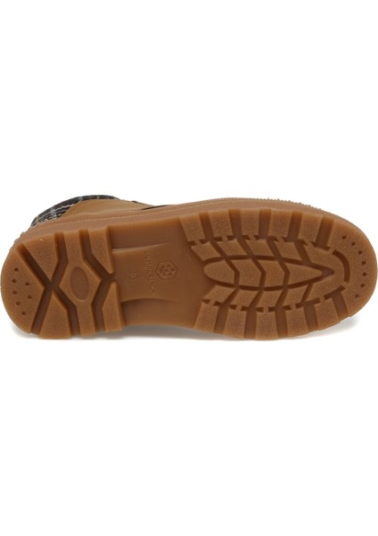 Tosıc 2pr Taba Worker Bot fırsatları