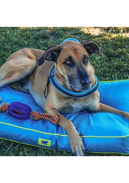 Polo 65 Köpek Minder Açık Mavi