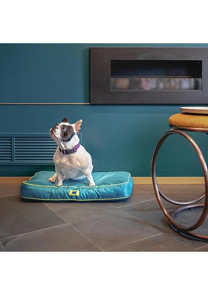 Polo 80 Köpek Minder Gri