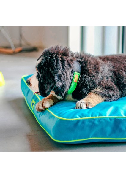 Polo 80 Köpek Minder Gri