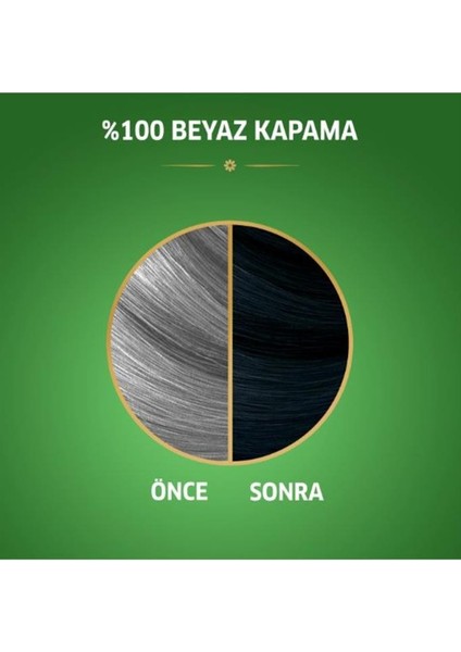 Naturals Saç Boyası Böğürtlen Siyahı 2/8 2x Paket modelleri
