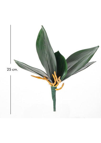Yapay Orkide Yaprağı Yeşil 25 Cm.