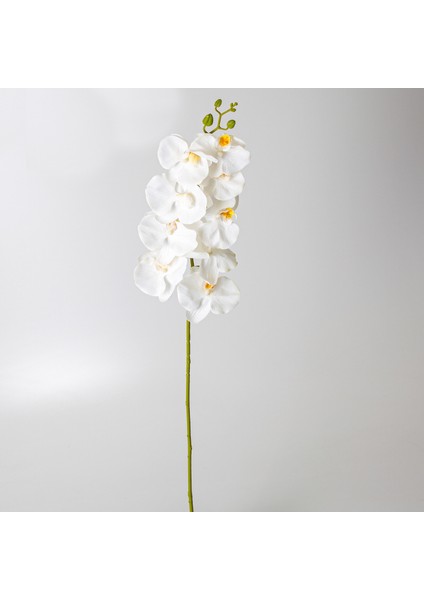 Yapay Orkide Beyaz 99 Cm.