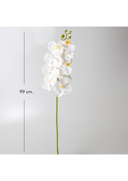 Yapay Orkide Beyaz 99 Cm. fırsatları