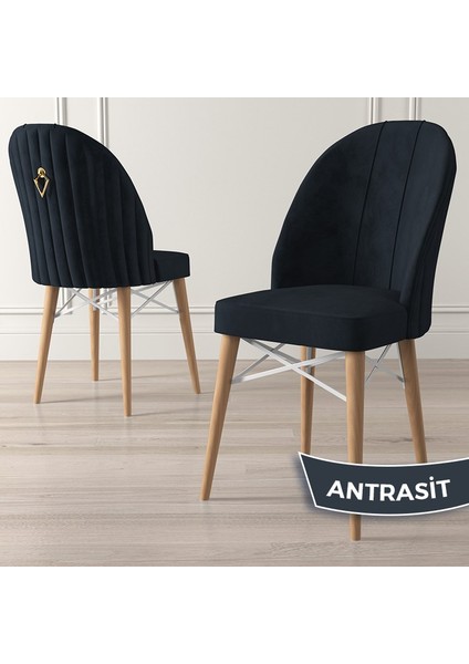 Concept Ritim Serisi Babyface Kumaş Doğal Ahşap Ayak Beyaz Kafes Sandalye 4 Adet