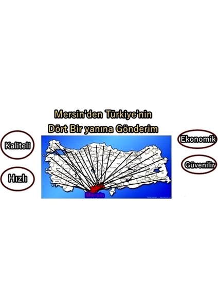 0-280 Derece Cotherm Kuyruklu Termostat (Çift Kontak)