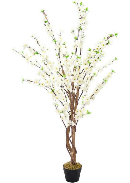 Yapay Ağaç Lüx Bahardalı Ağacı Beyaz Japon Kiraz Çiçeği Sakura Çiçeği 150X70CM Siyah Plastik Saksılı fiyatları
