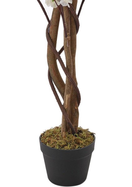Yapay Ağaç Lüx Bahardalı Ağacı Beyaz Japon Kiraz Çiçeği Sakura Çiçeği 150X70CM Siyah Plastik Saksılı indirimleri