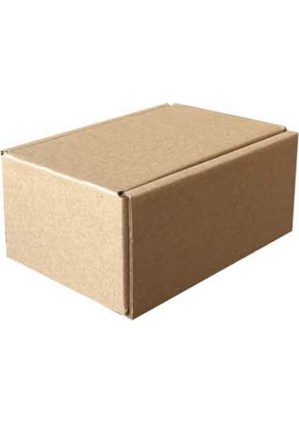 Kraft Kilitli Kargo Kutusu 10 x 7 x 4,5 cm 100 Adet fiyatları