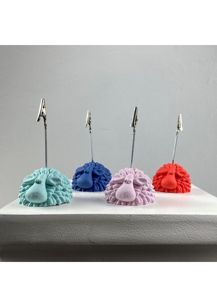 Kuzu Not Tutucu 4'lü Set ( Nane - Mercan - Gri Mavi - Pembe Büyü)