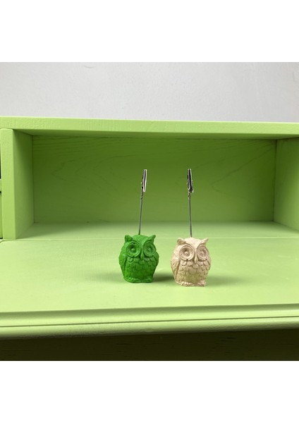Baykuş Not Tutucu 2'li Set (Yeşil - Krem) fiyatları