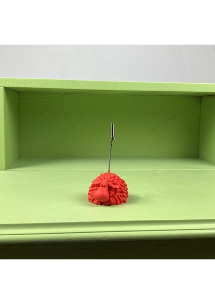 Mercan Rengi Kuzu Not Tutucu