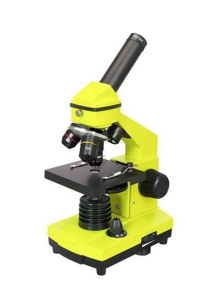 Raınbow 2l Plus Lime/yeşil Limon Mikroskop (Tr)