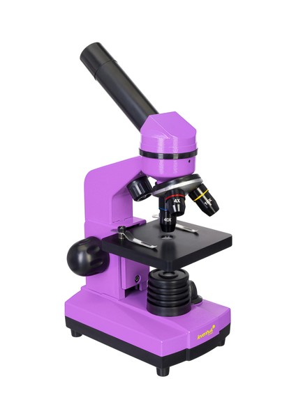 Raınbow 2l Amethyst/ametist Mikroskop (Tr)