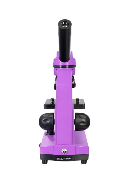 Raınbow 2l Amethyst/ametist Mikroskop (Tr)