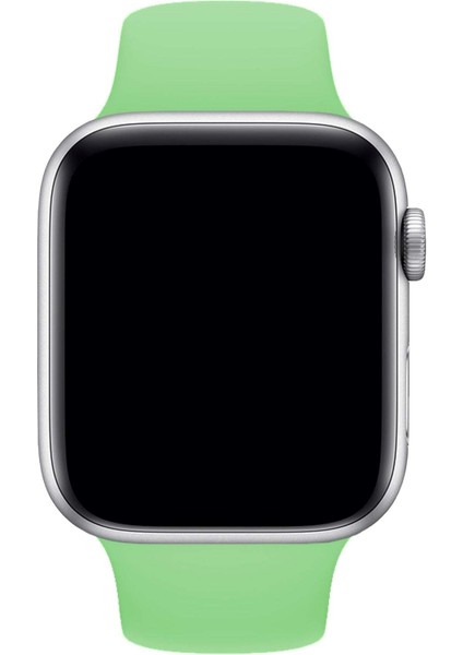 Apple Watch Uyumlu 3 4 5 6 7 8 Se Delikli 38 40 41MM Kordon Kayış Bileklik Klasik Silikon modelleri