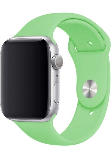 Apple Watch Uyumlu 3 4 5 6 7 8 Se Delikli 38 40 41MM Kordon Kayış Bileklik Klasik Silikon fırsatları