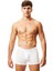 Beyaz Erkek Boxer EY36106 1