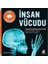 Orman Kitap İnsan Vücudu Genç Bir Bilim Insanı Için Kılavuz - Kristie Wagner 1