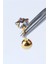 Yıldız Taş Koyu Hologram Gold Piercing 1