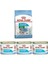 Mini Starter 3 kg +3 'lü Starter Mousse 195 gr 1