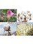 Bio Naturel %100 Pamuk 5 Çift Ön Yıkamalı Dikişsiz Unisex Çorap 3103 3