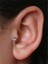 Yıldız Taş Labret Büyük Boy Gold Piercing 2