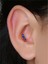 Lacivert Taşlı Ark Gold Piercing 3