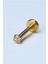 Yıldız Taş Labret Mini Boy Gold Piercing 1