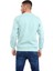 Erkek Bisiklet Yaka Uzun Kollu Basic Sweatshirt 5