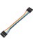 Sanec 6 Pin 0,25MM Kablolu Dupont Kablo 70CM - Çift Taraflı 1