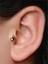 Eye Model Gold Piercing 3