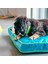 Polo 80 Köpek Minder Gri 5
