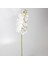 Yapay Orkide Beyaz 99 Cm. 1