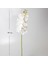 Yapay Orkide Beyaz 99 Cm. 4