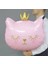 Pembe Renkli Sevimli Kedi Folyo Balon Pembe Renkli Helyum Folyo Balon Uçan Balon 2