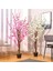 Yapay Ağaç Lüx Bahardalı Ağacı Beyaz Japon Kiraz Çiçeği Sakura Çiçeği 150X70CM Siyah Plastik Saksılı 3
