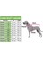 Welsoft Fosforlu Sarı Lastikli Kedi Köpek Kıyafeti Elbisesi 3