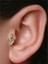 S Model Taşlı Toplu Labret Gold Piercing 3
