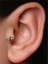 Uçak Model Rose Gold Piercing 4