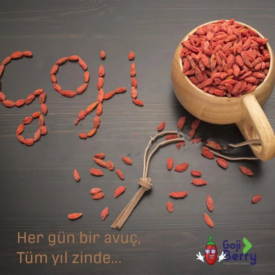 Gojiberry Türkiye Gojiberry Meyvesi 1kg Kendi Ilaçsız Ürünlerimiz