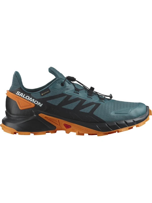 Salomon Supercross 4 Gtx Mavi Erkek Patika Koşu Ayakkabısı L47119800-27872